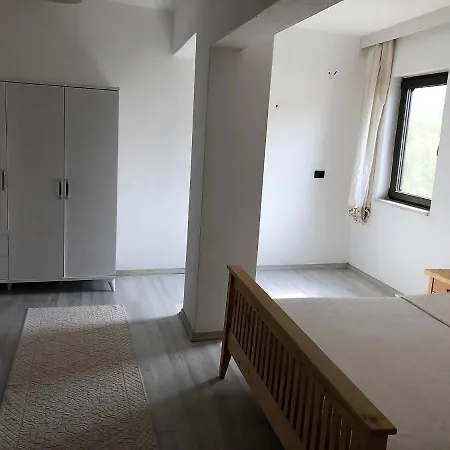 Gül Datça